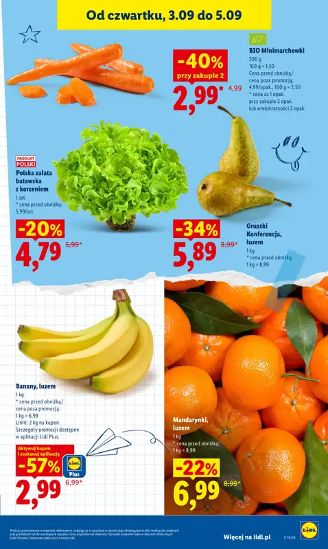 Lidl - gazetka promocyjna Oferta od czwartku od czwartku 03.09 do soboty 05.09 - strona 45