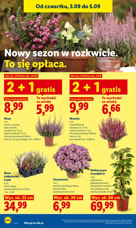 Lidl - gazetka promocyjna Oferta od czwartku od czwartku 03.09 do soboty 05.09 - strona 90
