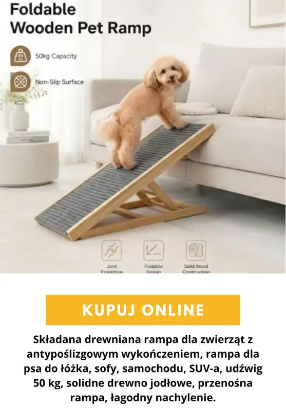 AliExpress - gazetka promocyjna Produkty dla zwierząt od czwartku 03.09  - strona 4