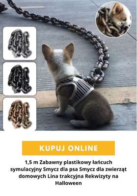 AliExpress - gazetka promocyjna Produkty dla zwierząt od czwartku 03.09  - strona 10
