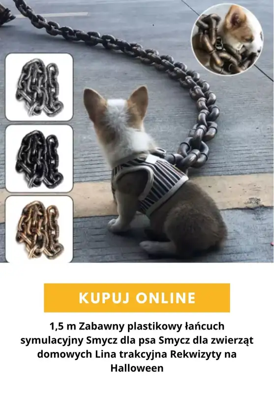 AliExpress - gazetka promocyjna Produkty dla zwierząt od czwartku 03.09  - strona 10