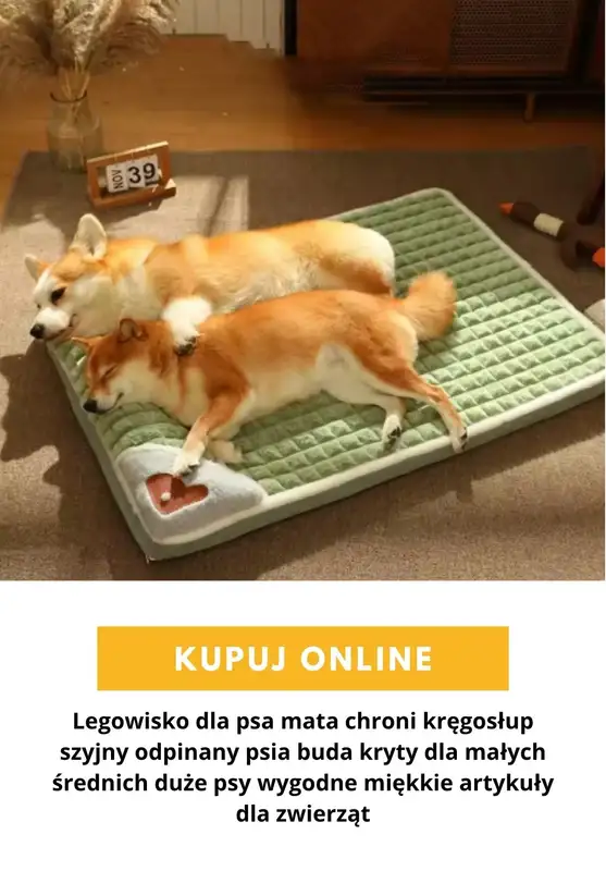 AliExpress - gazetka promocyjna Produkty dla zwierząt od czwartku 03.09  - strona 6