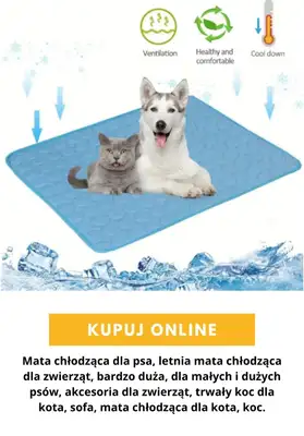 AliExpress - gazetka promocyjna Produkty dla zwierząt od czwartku 03.09  - strona 2