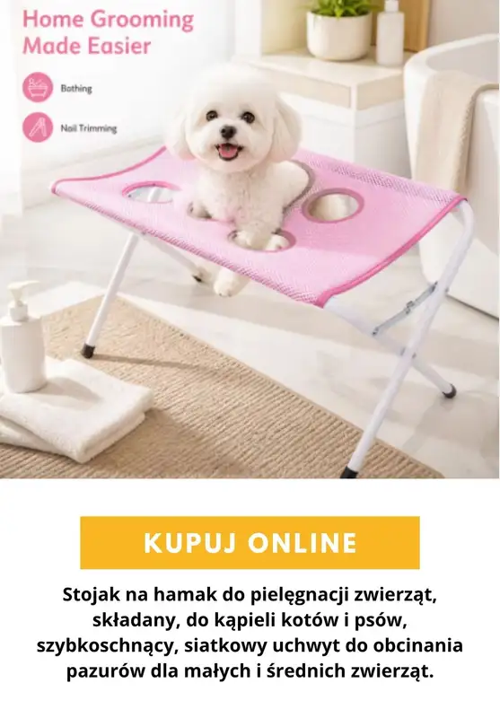 AliExpress - gazetka promocyjna Produkty dla zwierząt od czwartku 03.09  - strona 7