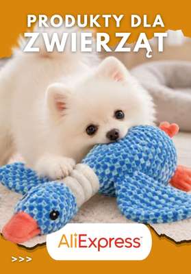 AliExpress - gazetka promocyjna Produkty dla zwierząt od czwartku 03.09 