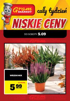 Gram Market - gazetka promocyjna Cały tydzień niskie ceny od piątku 04.09 do środy 09.09