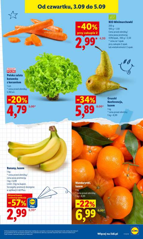 Lidl - gazetka promocyjna Oferta od czwartku od czwartku 03.09 do soboty 05.09 - strona 45