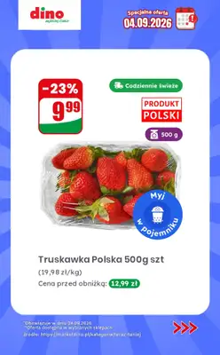 Dino - gazetka promocyjna Specjalna oferta na 04.09.2026 - promocje spoza gazetki od piątku 04.09 do piątku 04.09 - strona 2