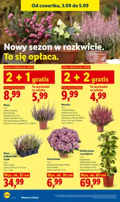 Lidl - gazetka promocyjna Oferta od czwartku od czwartku 03.09 do soboty 05.09 - strona 90