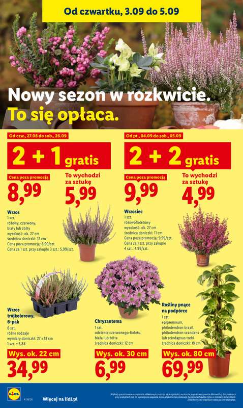 Lidl - gazetka promocyjna Oferta od czwartku od czwartku 03.09 do soboty 05.09 - strona 90