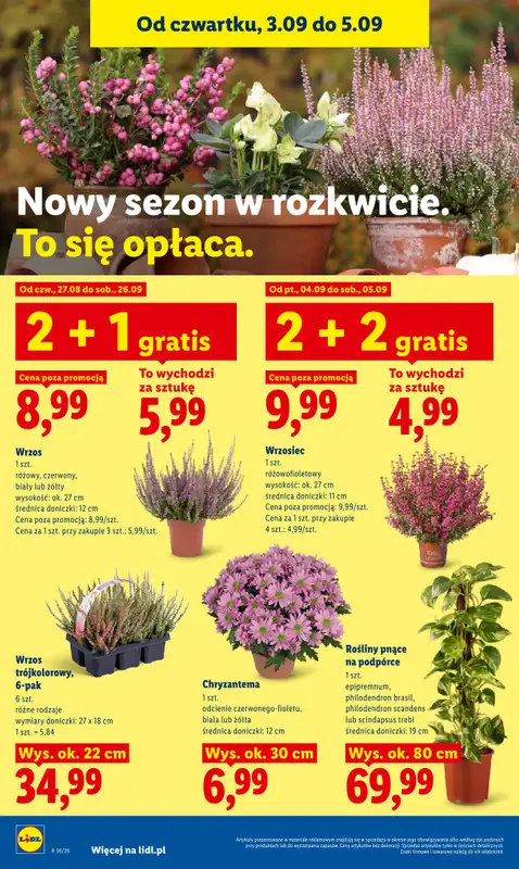Lidl - gazetka promocyjna Oferta od czwartku od czwartku 03.09 do soboty 05.09 - strona 90