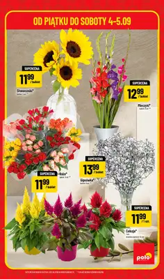 POLOmarket - gazetka promocyjna Super hity na weekend od piątku 04.09 do soboty 05.09 - strona 5