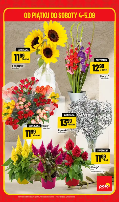 POLOmarket - gazetka promocyjna Super hity na weekend od piątku 04.09 do soboty 05.09 - strona 5