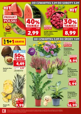 Kaufland - gazetka promocyjna Oferta Kaufland - SUPER SOBOTA od soboty 05.09 do soboty 05.09 - strona 9
