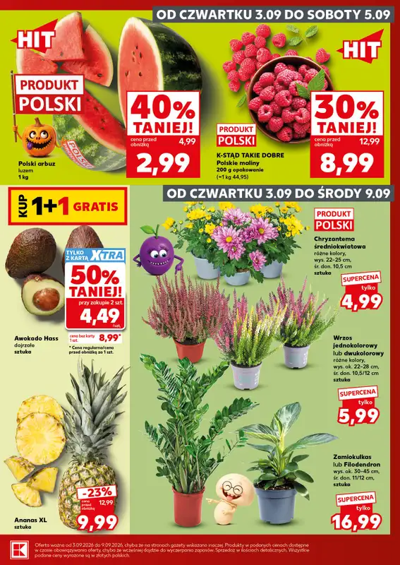 Kaufland - gazetka promocyjna Oferta Kaufland - SUPER SOBOTA od soboty 05.09 do soboty 05.09 - strona 9