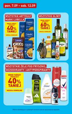 Aldi - gazetka promocyjna Pełny katalog! od poniedziałku 07.09 do soboty 12.09 - strona 21