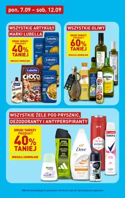 Aldi - gazetka promocyjna Pełny katalog! od poniedziałku 07.09 do soboty 12.09 - strona 21