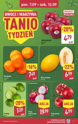 Aldi - gazetka promocyjna Pełny katalog! od poniedziałku 07.09 do soboty 12.09 - strona 5