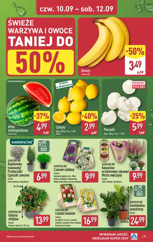 Aldi - gazetka promocyjna Pełny katalog! od poniedziałku 07.09 do soboty 12.09 - strona 35