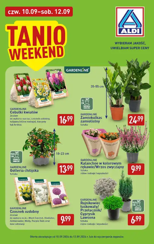 Aldi - gazetka promocyjna Pełny katalog! od poniedziałku 07.09 do soboty 12.09 - strona 34