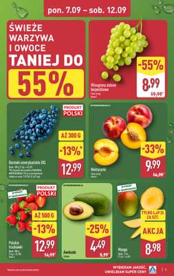 Aldi - gazetka promocyjna Pełny katalog! od poniedziałku 07.09 do soboty 12.09 - strona 3