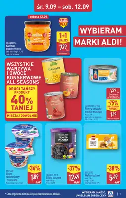 Aldi - gazetka promocyjna Toruń, ul. Gen. K. Kniaziewicza 40, WIELKIE OTWARCIE już w ŚRODĘ 9.09! od środy 09.09 do soboty 12.09 - strona 9