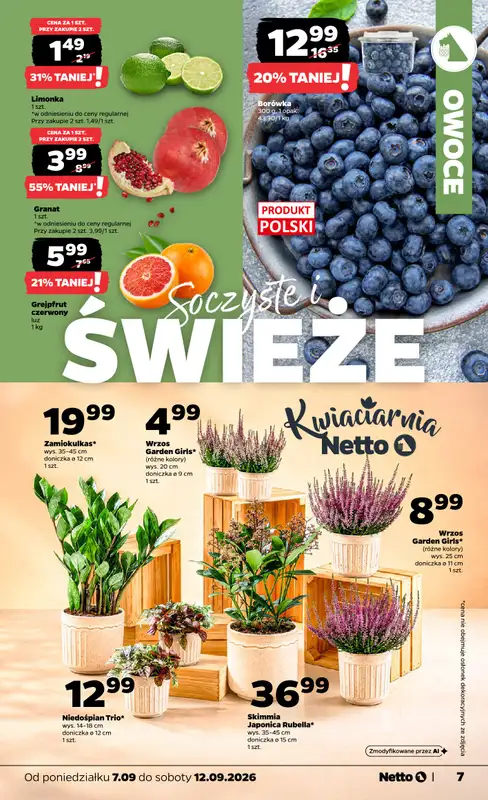 Netto - gazetka promocyjna Gazetka Spożywcza od poniedziałku 07.09 do soboty 12.09 - strona 7