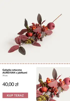 Homla - gazetka promocyjna Jesienne dekoracje od soboty 05.09  - strona 5