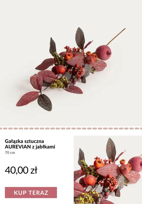 Homla - gazetka promocyjna Jesienne dekoracje od soboty 05.09  - strona 5