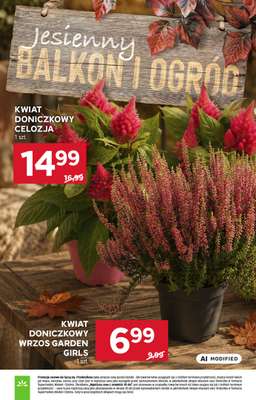 Stokrotka - gazetka promocyjna Gazetka Market od czwartku 03.09 do środy 09.09 - strona 19