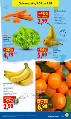 Lidl - gazetka promocyjna Oferta od czwartku od czwartku 03.09 do soboty 05.09 - strona 45