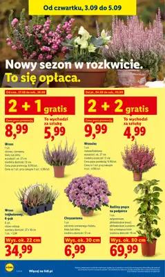 Lidl - gazetka promocyjna Oferta od czwartku od czwartku 03.09 do soboty 05.09 - strona 90