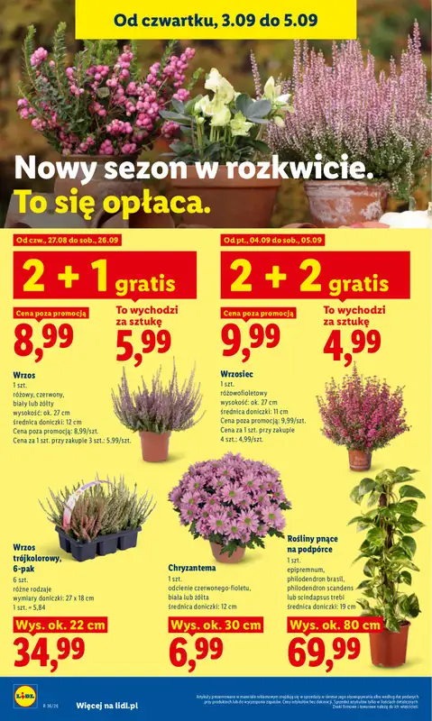 Lidl - gazetka promocyjna Oferta od czwartku od czwartku 03.09 do soboty 05.09 - strona 90
