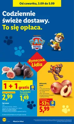 Lidl - gazetka promocyjna Oferta od czwartku od czwartku 03.09 do soboty 05.09 - strona 42