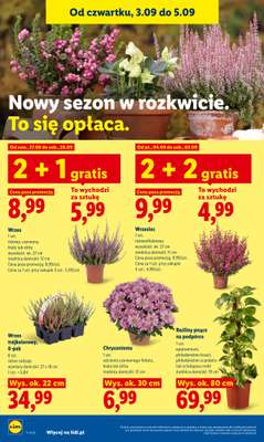 Lidl - gazetka promocyjna Oferta od czwartku od czwartku 03.09 do soboty 05.09 - strona 90