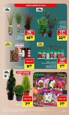 Carrefour - gazetka promocyjna Gazetka Stylowy dom  do soboty 19.09 - strona 3
