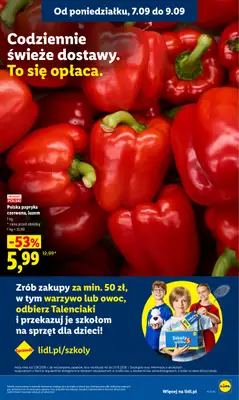 Lidl - gazetka promocyjna Oferta od poniedziałku od poniedziałku 07.09 do środy 09.09 - strona 33