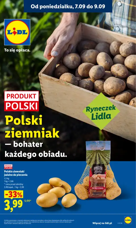 Lidl - gazetka promocyjna Oferta od poniedziałku od poniedziałku 07.09 do środy 09.09 - strona 31