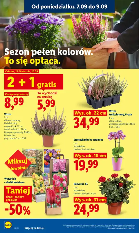 Lidl - gazetka promocyjna Oferta od poniedziałku od poniedziałku 07.09 do środy 09.09 - strona 82