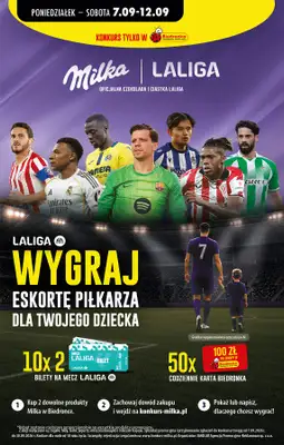 Biedronka - gazetka promocyjna Od poniedziałku od poniedziałku 07.09 do soboty 12.09 - strona 46