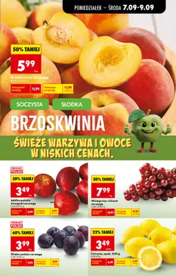 Biedronka - gazetka promocyjna Od poniedziałku od poniedziałku 07.09 do soboty 12.09 - strona 17