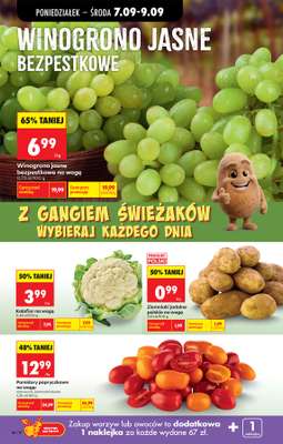 Biedronka - gazetka promocyjna Od poniedziałku od poniedziałku 07.09 do soboty 12.09 - strona 22