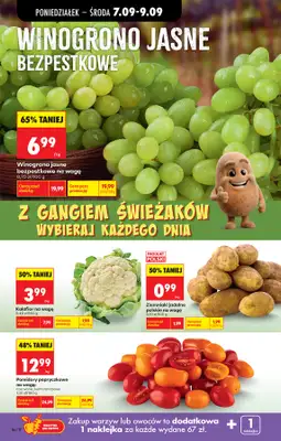 Biedronka - gazetka promocyjna Od poniedziałku od poniedziałku 07.09 do soboty 12.09 - strona 22