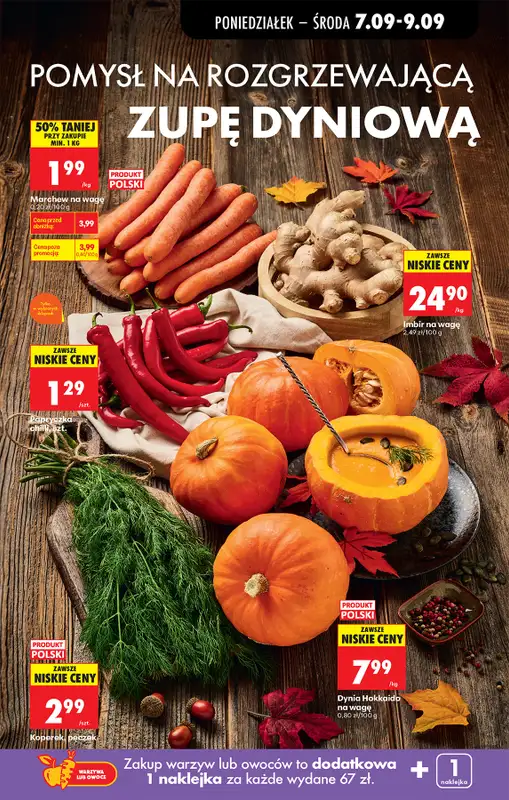 Biedronka - gazetka promocyjna Od poniedziałku od poniedziałku 07.09 do soboty 12.09 - strona 25