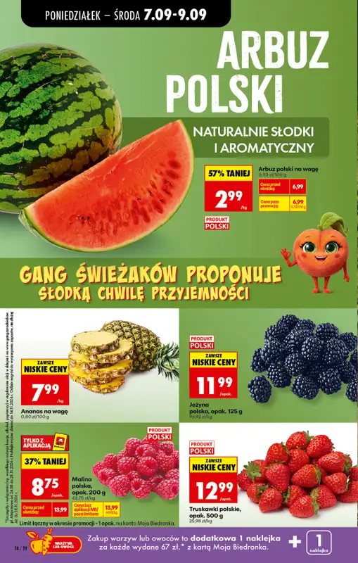 Biedronka - gazetka promocyjna Od poniedziałku od poniedziałku 07.09 do soboty 12.09 - strona 26
