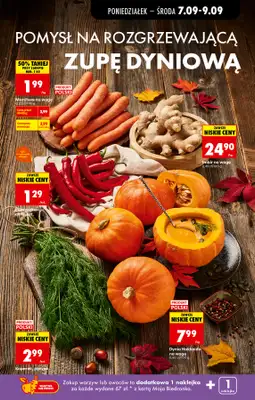 Biedronka - gazetka promocyjna Od poniedziałku od poniedziałku 07.09 do soboty 12.09 - strona 27