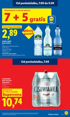 Lidl - gazetka promocyjna Oferta od poniedziałku od poniedziałku 07.09 do środy 09.09 - strona 17