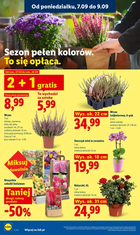 Lidl - gazetka promocyjna Oferta od poniedziałku od poniedziałku 07.09 do środy 09.09 - strona 82