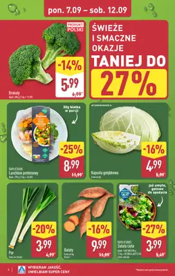 Aldi - gazetka promocyjna Pełny katalog! od poniedziałku 07.09 do soboty 12.09 - strona 4