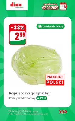 Dino - gazetka promocyjna Specjalna oferta na 07.09.2026 - promocje spoza gazetki od poniedziałku 07.09 do poniedziałku 07.09 - strona 4